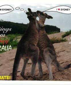 Australia 2000, Sydney Olympic Games, Ansichtskarte Greatings from Sydney Australia, Olympische Spiele