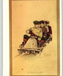 AK Postcard, Carlo Pellegrini Photoglob n. 3308 Bob No Speed Limit, Zürich, Sport