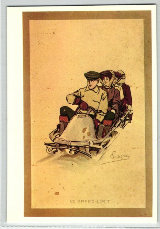 AK Postcard, Carlo Pellegrini Photoglob n. 3308 Bob No Speed Limit, Zürich, Sport