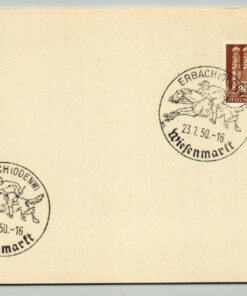 Deutschland 1950, SST ERBACH Wiesenmarkt, Reiten Pferdesport