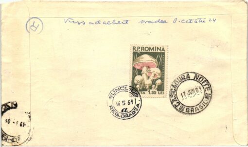 Romina 1961, Bukarest, Skifahren, Ski springen, Skiing Bucaresti 2 Briefe – Bild 2