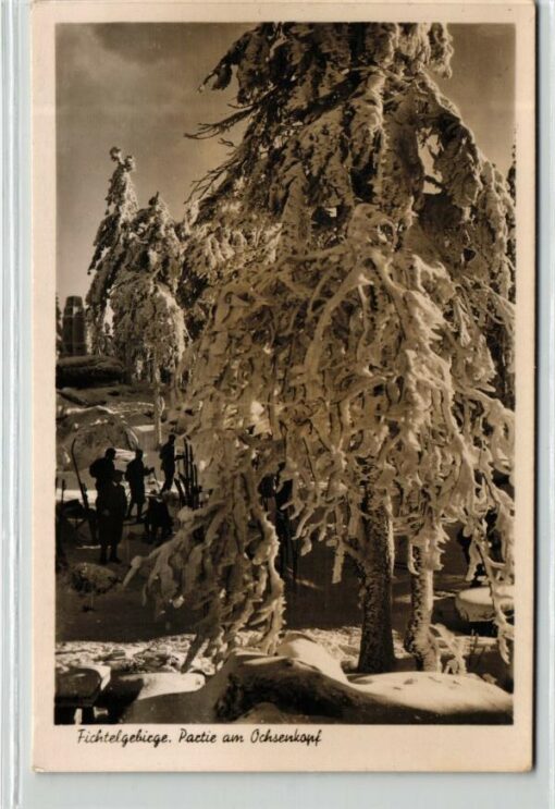 AK Postcard Ski, Fichtelgebirge Partie Ochsenkopf  Skiing