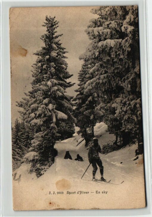AK Postcard Ski, Sport d'Hiver En sky, Carte Postale 1905 Skiing