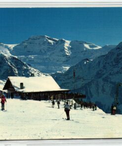AK Postcard Ski, Planachax Champery Les Crosets Illiez Skiing