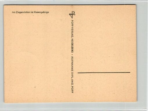 AK Postcard Ski, Ziegenrücken Riesengebirge Nebelmeer Skiing – Bild 2
