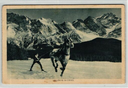 AK Postcard Ski, Skijöring am Eibsee GarmischPartenkirchen Skiing