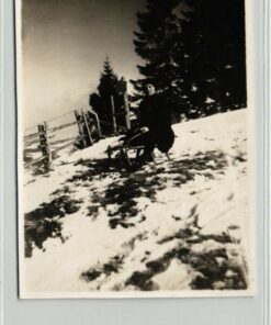 Foto Rodeln, Luge Frau mit Rodel