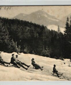 AK Postcard Rodeln, 1905 Schiersberg Schliersee Schlittenfahren