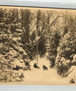 AK Postcard Rodeln, Neuhaus Wintersport Schlittenfahrt