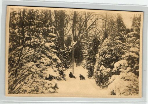 AK Postcard Rodeln, Neuhaus Wintersport Schlittenfahrt