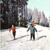 AK Postcard Ski, Predeal Primele lectii de schi carpati Skiing
