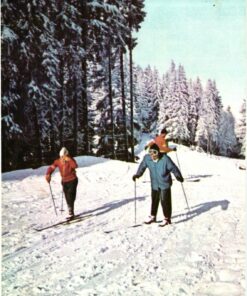 AK Postcard Ski, Predeal Primele lectii de schi carpati Skiing