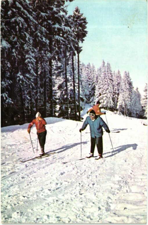 AK Postcard Ski, Predeal Primele lectii de schi carpati Skiing