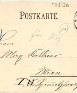 Shooting - Schiessen Schützen Schützenhaus Pforzheim 1899 Wien Schützenverein Weapons Waffen Tiro