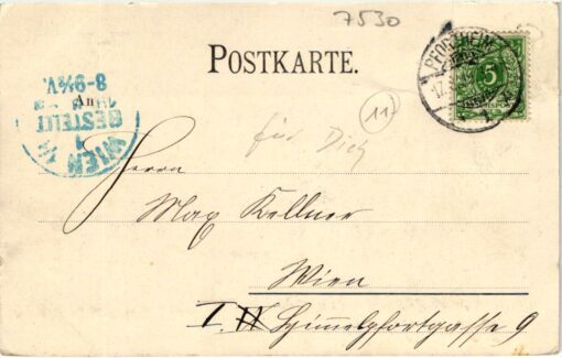 Shooting - Schiessen Schützen Schützenhaus Pforzheim 1899 Wien Schützenverein Weapons Waffen Tiro