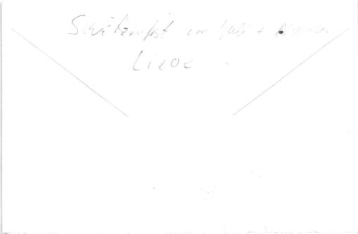 Shooting, Schiessen Lieoe Cite Vise Arquebusiers Schützenfest 1988 Weapons Waffen Tiro a segno – Bild 2