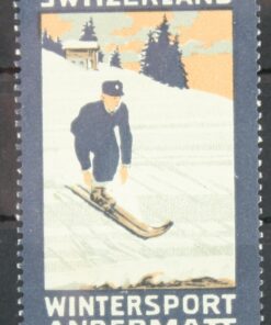 Switzerland Wintersport Andermatt, Ski Skiing Poster stamp cinderella Vignette Sport Reklamemarke 