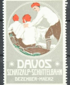 Davos Schatzalp Schlittelbahn, Rodlen Bob Sledge Luge Poster stamp cinderella Vignette Sport Reklamemarke 