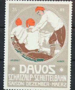 Davos Schatzalp Schlittelbahn, Rodlen Bob Sledge Luge Poster stamp cinderella Vignette Sport Reklamemarke 