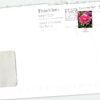 Deutschland 2008 Bedarfsbrief Mi. 2694 Heimische Blumen Gartennelke [M2] 