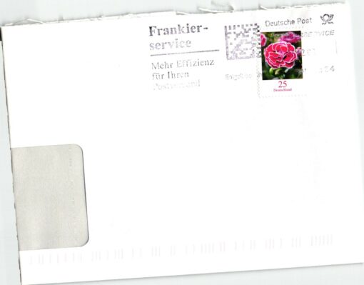Deutschland 2008 Bedarfsbrief Mi. 2694 Heimische Blumen Gartennelke [M2] 
