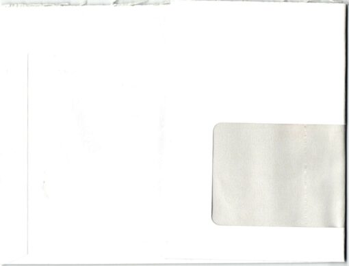 Deutschland 2008 Bedarfsbrief Mi. 2694 Heimische Blumen Gartennelke [M2]  – Bild 2