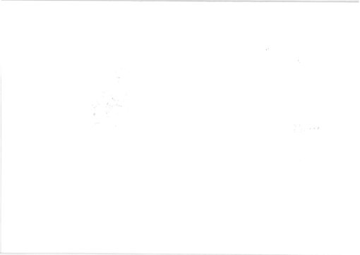Deutschland 2009 Sonderstempel Mi. 2755 ILA Frankfurt Leichtathletik WM [M2]  – Bild 2