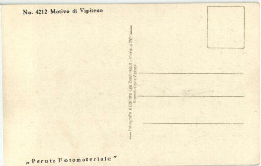 Fontana Vipiteno, Sterzing Brunnen; Baehrend; Südtirol – Bild 2