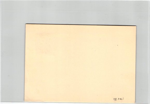 Austria, Wien 1950, Wien Mauer Kirtag auf der Mauer, Kirchtag, Feiern, Maibaum, Kirche – Bild 2