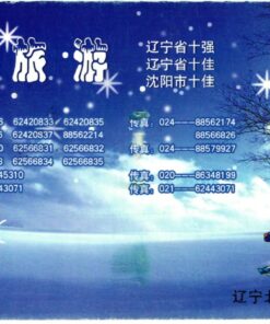 China, Happy New Year 2007 Snowman , Ski Sport Skisport Skiing sci