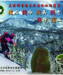 China, Telemark Wald Forest Ressort  , Ski Sport Skisport Skiing sci