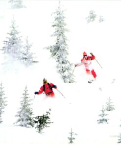 China, 2002 Freeriding Forest Tiefschnee Wald , Ski Sport Skisport Skiing sci