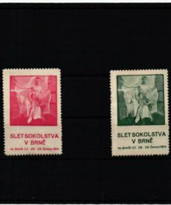 Poster stamp cinderella Vignette Sport Slet Sokolstva Brne 1914