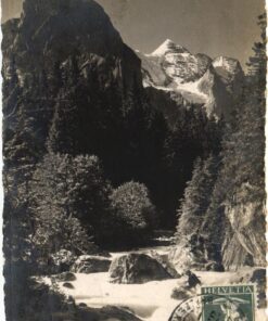 Alternative view of Belgium,Olympic Games 1920, CHARLEROY, VII Olympiade Antwerpen Anvers, Olympic Games, Olympia, JO