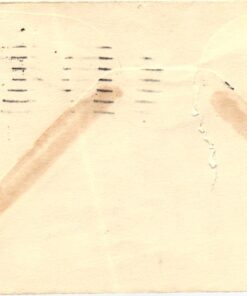 Alternative view of USA, 1932 Olympic Games Los Angeles, FDC Olympia, JO